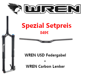 WREN USD Gabel + WREN Carbon Lenker